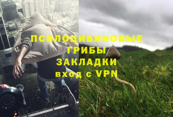 соль курить ск Арсеньев