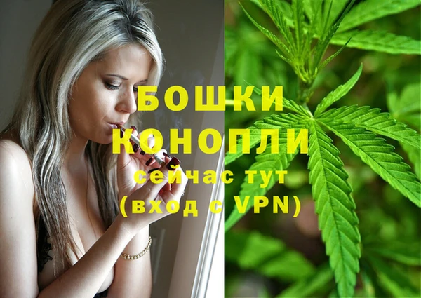 Альфа ПВП Аркадак