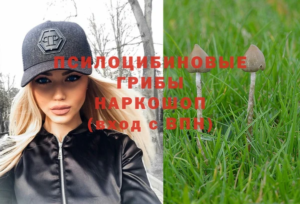 Альфа ПВП Аркадак
