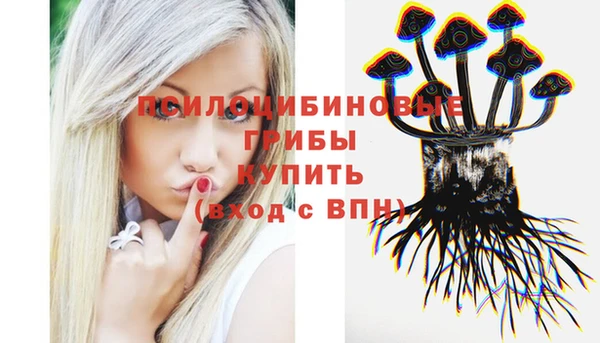соль курить ск Арсеньев