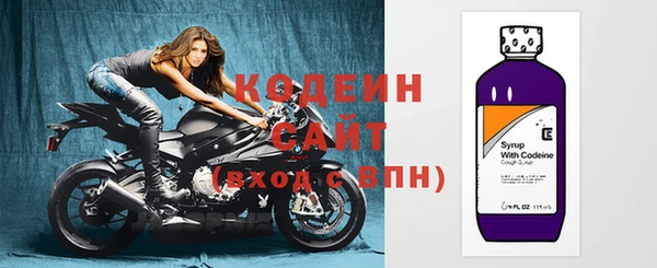хмурый Пестово