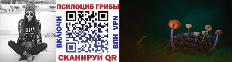 купить закладку  Геленджик  Псилоцибиновые грибы мицелий 